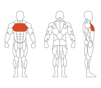 LD1008坐式推胸训练器 副本 LD1008坐式推胸训练器 副本