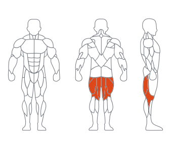 LS-025A俯卧曲腿训练器 LS-025A俯卧曲腿训练器