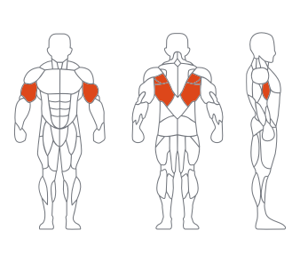 LS-026坐式低拉背练习器 LS-026坐式低拉背练习器